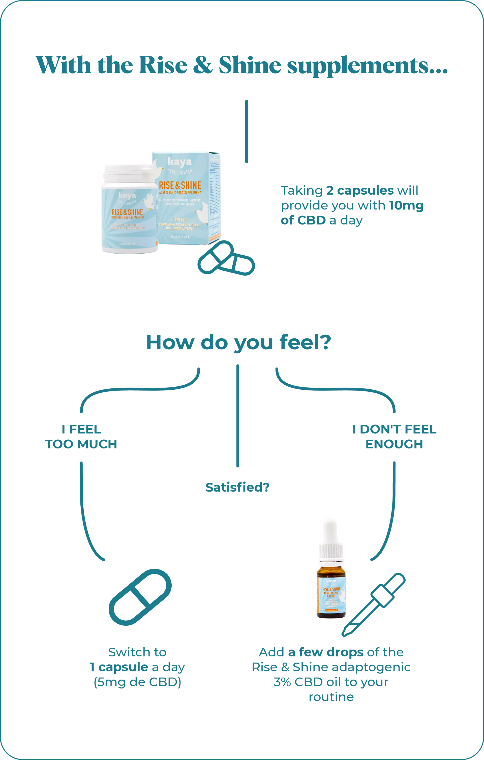 Infographic Rise and Shine CBD adaptogenic supplements 
