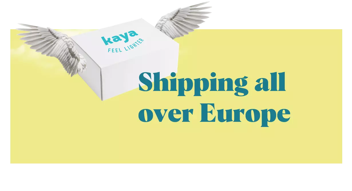 Shipping all over Europe image